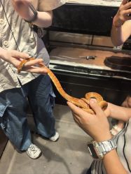 -Zoolung Zoolung动物主题公园(海信广场店)