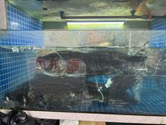 -全乐鱼馆·淳牌有机鱼直营店