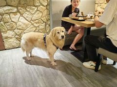 -LA CREPERIE BRETONNE布列塔尼法式餐厅(天童北路店)