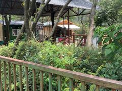 -石燕湖生态旅游景区