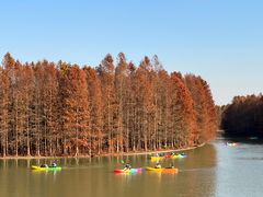 -上海海湾国家森林公园