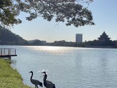 -顺峰山公园