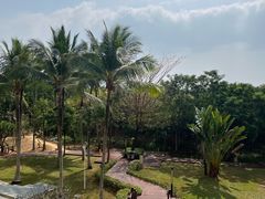 -三亚海棠湾万丽度假酒店