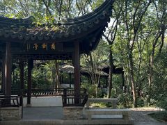 -上海佘山国家森林公园天马山园