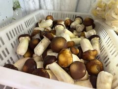-菌之家·专业纯野生菌火锅·特色炒菌