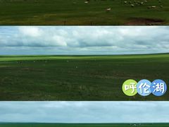 -呼伦湖旅游景区