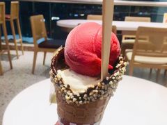 覆盆子雪糕-哈根达斯(天河城店)
