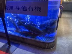 -鸽子侯·家宴·平价海鲜(绿地店)