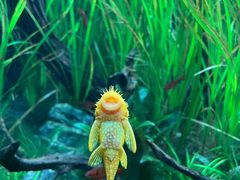 -成都浩海立方海洋公园