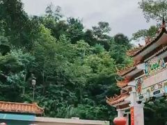 -广州市流溪河国家森林公园
