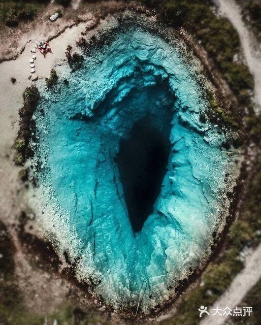 "地球之眼"为啥有只天天嚎叫的单身鲸鱼?