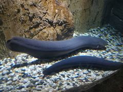 -多彩贵州城极地海洋世界