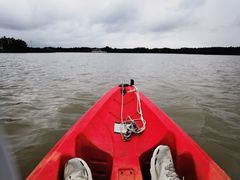 -上海海湾国家森林公园