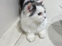 -怪兽屋·羊驼·猫咖·狗咖(俊华广场店)