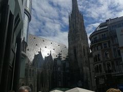 -斯蒂芬主教座堂(Stephansdom)