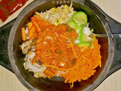 辣味深海金枪鱼石锅拌饭-正一味石锅拌饭(望京新世界店)