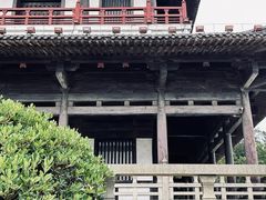 -宜兴龙背山森林公园