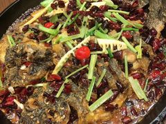 -老板恋上鱼(恒隆广场店)