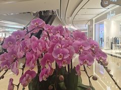 -上海世纪汇广场