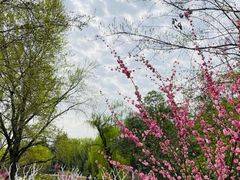 -宝鸡植物园