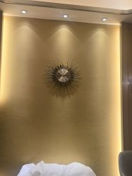 -雅曼妮spa美容养生