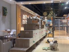 -藏猫猫咖啡主题馆(中央大道店)