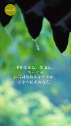 -梵隐SPA