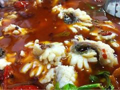 iphone_upload_pic-重庆乌鱼庄·龙滋鲜(青羊大道店)