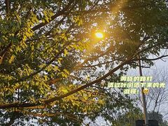 -成都中医药大学(温江校区)