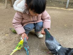 -呀路古热带植物园