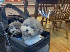 -观桥阁(锦溪店)