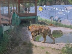 -栾川竹海野生动物园