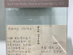 -张乐平故居
