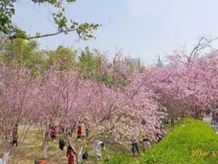 -昆明动物园
