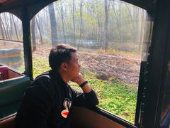 -合肥滨湖国家森林公园