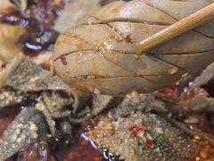 -四川老牛麻辣烫(北门桥店)