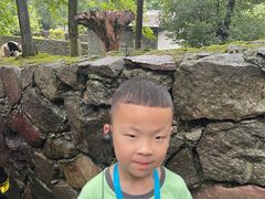 -都江堰中华大熊猫苑