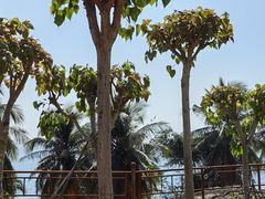 -三亚南山文化旅游区