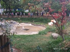 -昆明动物园