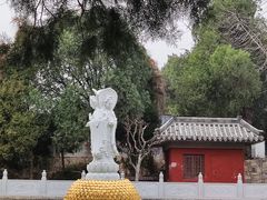 -泰山风景名胜区-普照寺