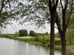 -东郊湿地公园