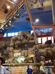 点击看大图 -卡通尼·Safari非洲探索乐园·生日会(金桥国际商业广场店)