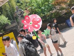 -将军关探险漂流