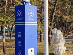 -莱西月湖公园
