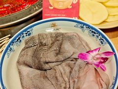 -蜀大侠火锅(总府路店)