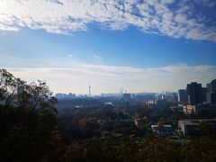 -阅江楼风景区
