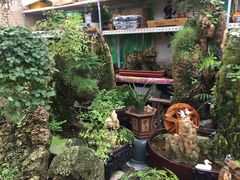 -秦美花卉(天朗·莱茵小城2期店)