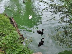 -沈阳森林动物园