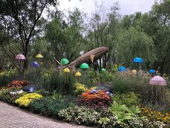 -西湖风景区-江洋畈生态公园