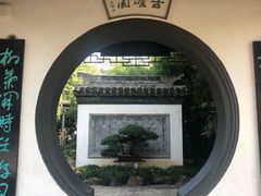 -水绘园